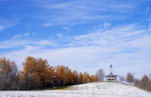 就職者体験記-2画像