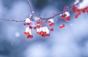 報告書作成をマスターしよう！画像