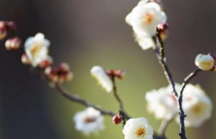 就職までの期間はどのくらい？！画像