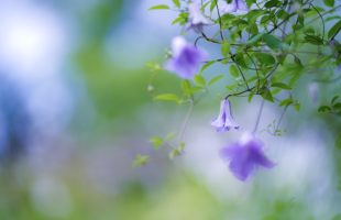 大事な大事な報連相画像