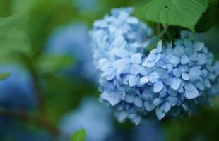 梅雨に身体の調子が悪くなるのはなぜ？画像